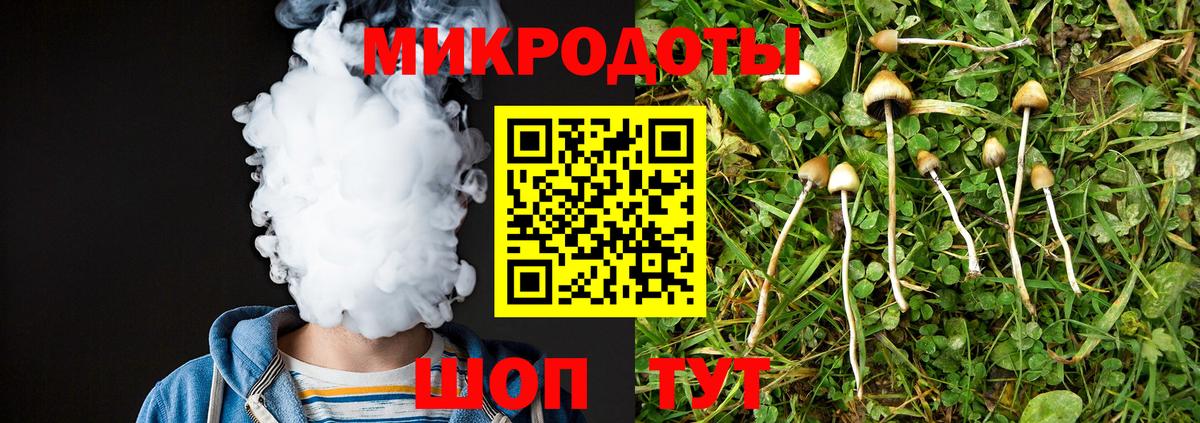 Галлюциногенные грибы прущие грибы  Вход с VPN  Чехов 